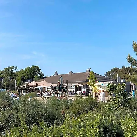 Dune In Near The Ouddorp