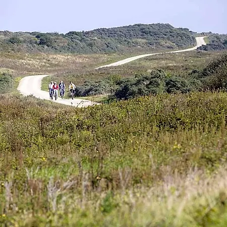 Dune In Near The Ouddorp