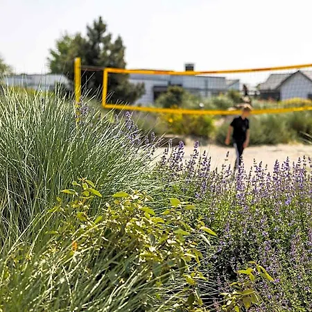 Dune In Near The 2* Ouddorp